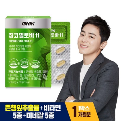 N자연의품격 징코 빌로바11