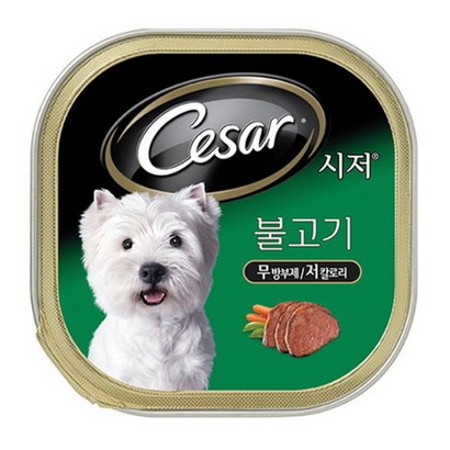 시저 양양간식 간식캔