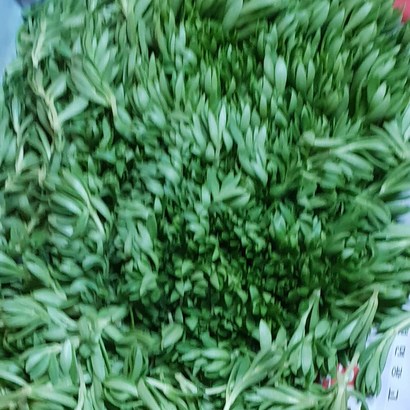 백산상회 청경체 돗나물 리뷰후기