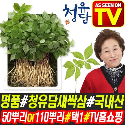 TV홈쇼핑 명품 청유담 새싹삼 50뿌리 110뿌리 택1 산양삼 장뇌삼 새싹 인삼 삼 배양근 사포닌 국산 리뷰후기