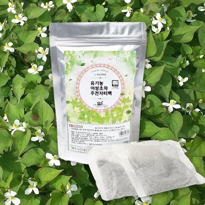 참건강마을 어성초차 주전자 10티백