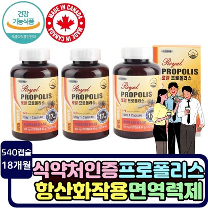 환절기 면역력강화 건강관리 캐나다 플라보노이드 항산화 작용 로얄 프로폴리스 면역력 높이는 영양제 활성산소 제거 효과 직구 홈쇼핑 식약처인증 대용량 캡슐 영양제 항산화제 보조제