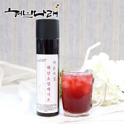 허브나래 백년초열매 식초 백년초 리뷰후기