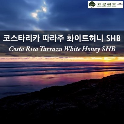 커피생두 - 2022년 뉴크롭 코스타리카 따라주 화이트허니 SHB 리뷰후기