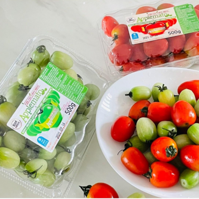 스테비아토마토 애플마토 청애플마토 고당도 무설탕토마토 토망고 샤인마토 단마토 꿀마토 리뷰후기