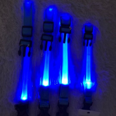 마이쁘띠 강아지 야광 목줄 건전지 리뷰후기