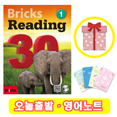 브릭스 리딩 Bricks Readin 30-1