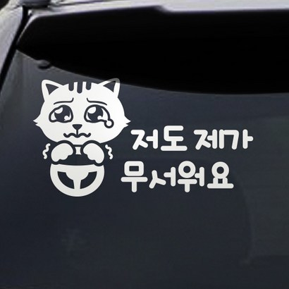 트웬티토리 저도제가무서워요 초보운전스티커 리뷰 후기