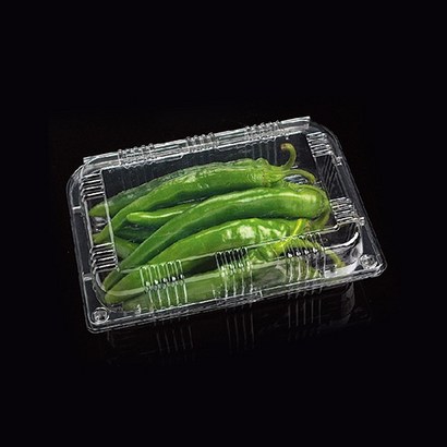 태방파텍 포장용기 TB-305 / 과일트레이 과일포장용기 농산물포장 식품포장재