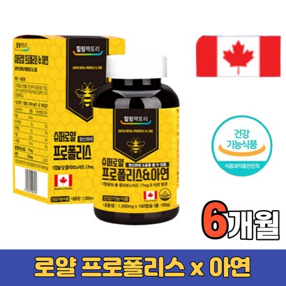 캐나다 프로폴리스 아연 6개월 슈퍼로얄 건기식 부모님 뼈건강 종합비타민 무균상태 면역케어 푸로폴리스 가족 남자 여자 주부 수험생 노인 리뷰 후기
