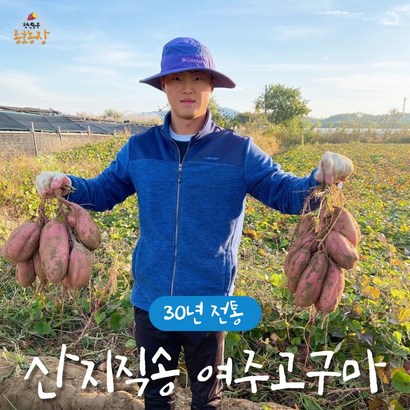 종농장 여주 꿀 박 고구마