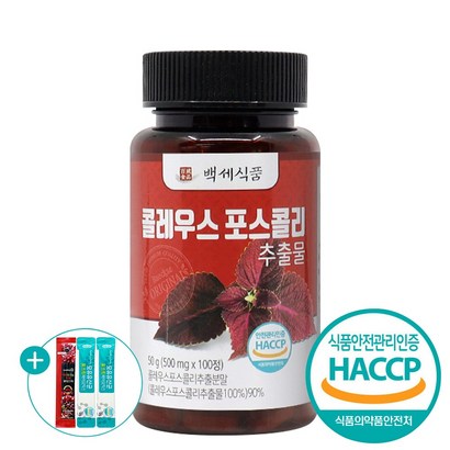 콜레우스 포스콜리 추출물 정 식약처 HACC 인증 100정