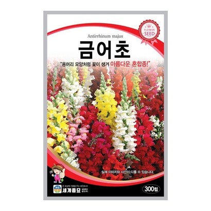 모칸도 세계 금어초 꽃씨 300립