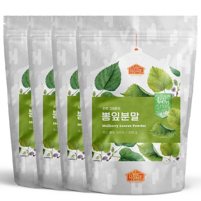 비옴 국산 뽕잎가루 4개