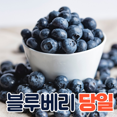 특등품 미국산 칠레산 생 블루베리 생과