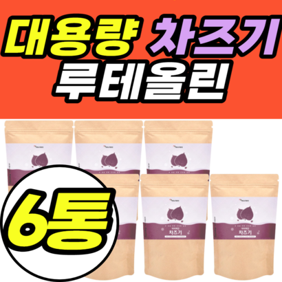 대용량 차즈기 루테올린 자소엽 추출물 미네랄 김치 모유유래 남성 여성 남자 여자 유산균 락토바실러스 40대 50대 60대 유산균 루테리 가세리 애시도필러스 람노서스 람노스