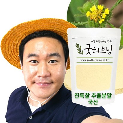 진득찰 추출물 분말 가루 국산 희첨 털진득찰 단백질 효능 굿허브닝