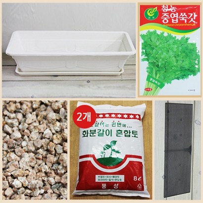 행복한세상 텃밭가꾸기 대 화이트 쑥갓 리뷰후기