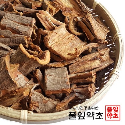 풀잎약초 느릅나무껍질 국내산 유근피