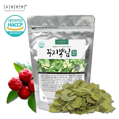 초원한방플러스 꾸지뽕잎환 꾸찌뽕 구지뽕 구찌뽕