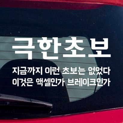 모노먼트 초보운전 스티커 - 극한초보