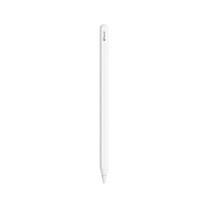 Apple 정품 애플펜슬 2세대 MU8F2KH/A, 1개
