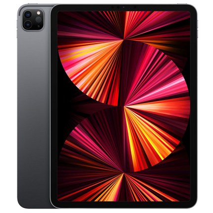 Apple 아이패드 프로 11형 3세대 M1칩, Wi-Fi, 256GB, 스페이스 그레이