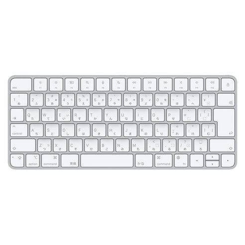 Apple 2021년 Magic Keyboard 일본어, 일반형, MK2A3CJ/A, 혼합색상