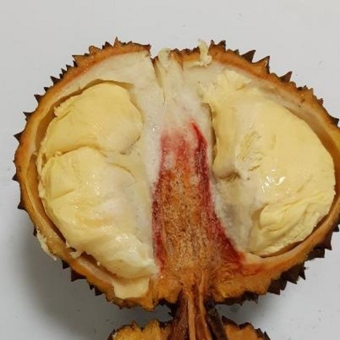 두리안 열대과일 신선급냉 고당도 durian 냉동두리안 리뷰후기