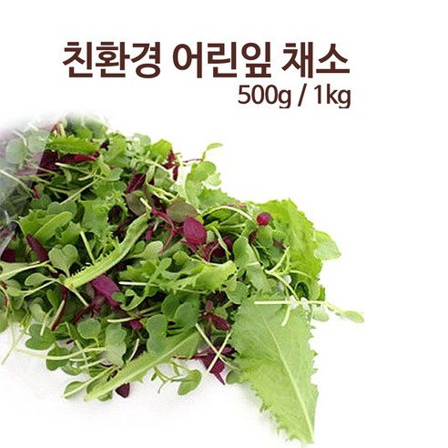 프레시온 국내산 무농약 친환경 인증 어린잎 베이비 새싹 채소 / 리뷰후기
