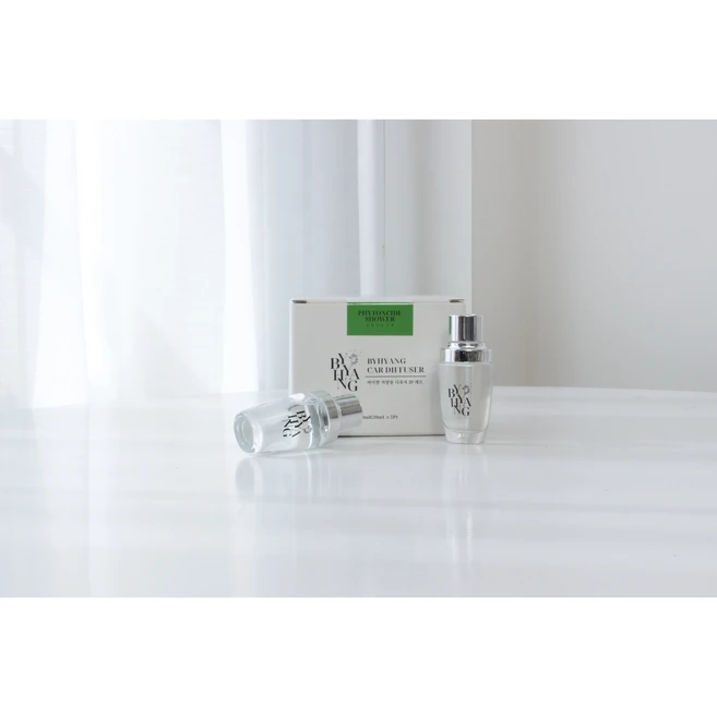 바이향 차량용 송풍구 디퓨저 20ml, 스카이오션, 2개