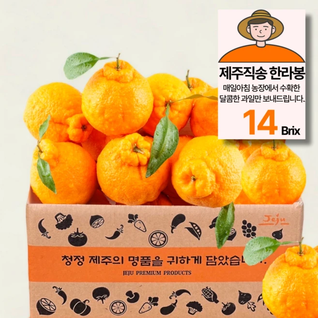 제주농원 14Brix 당도선별 한라봉 가정용, 1박스, 3kg(15과 내외)