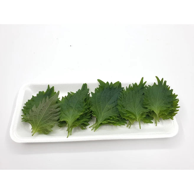 [특급] 시소 30장내외 1팩 10g 허브 - 수도권 충청지역 팀프레시 새벽배송, 1개