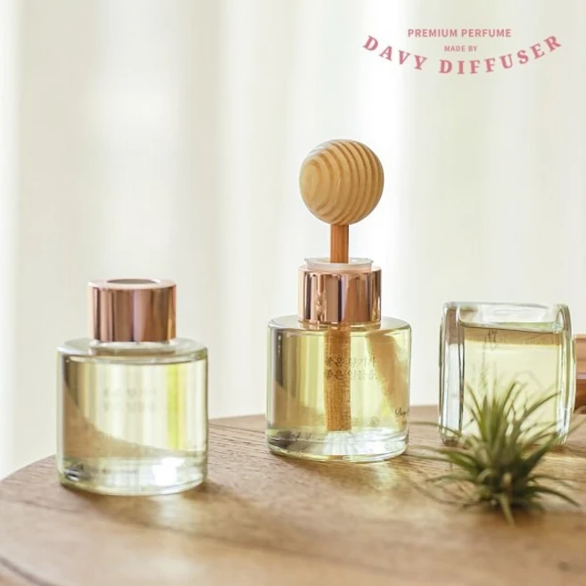 [다비디퓨저] 차량용 방향제 50ml 1+1세트, 1세트, 프리미엄자몽1+1