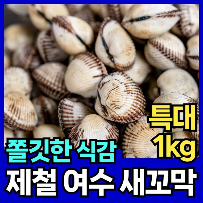 핏시드 제철 새꼬막 여수 벌교 꼬막살, 1개, 특대(1kg 60-70미)