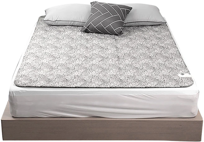 테르톤 4세대 인공지능 스마트 탄소매트, 싱글(100 x 195 cm)