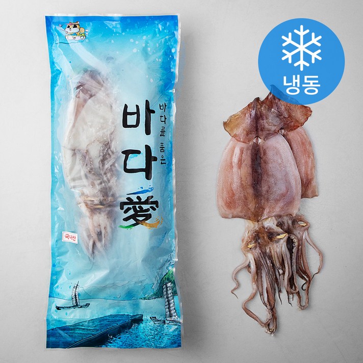 해풍수산 영덕항 반건조 오징어 왕왕특 10미 (냉동), 1.9kg, 1개