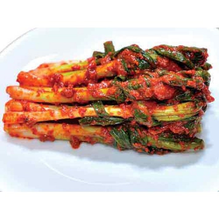 태서식품 태백고원 파김치, 10kg, 1개