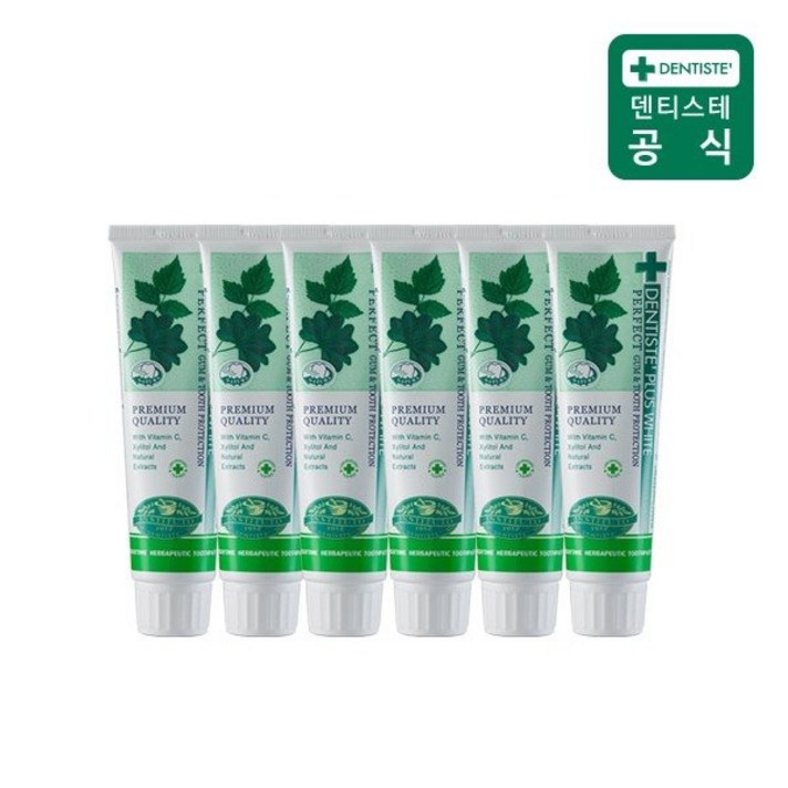 덴티스테 플러스 화이트 치약 튜브형, 100g, 6개