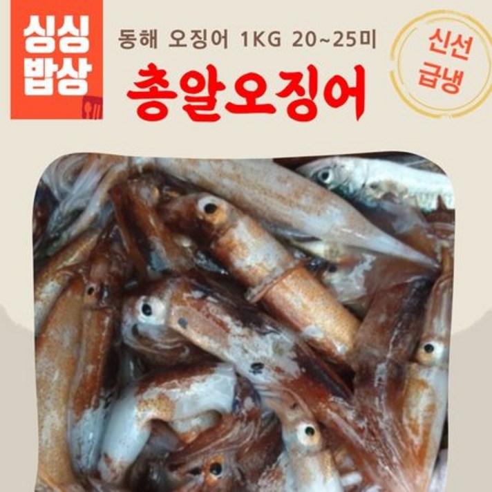 싱싱밥상 동해 총 급냉 알오징어 냉동오징어 23미내외 총알오징어 생오징어 산오징어 오징어요리, 상세페이지 참조