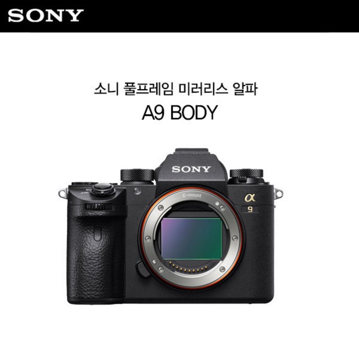 소니 A9 미러리스 카메라