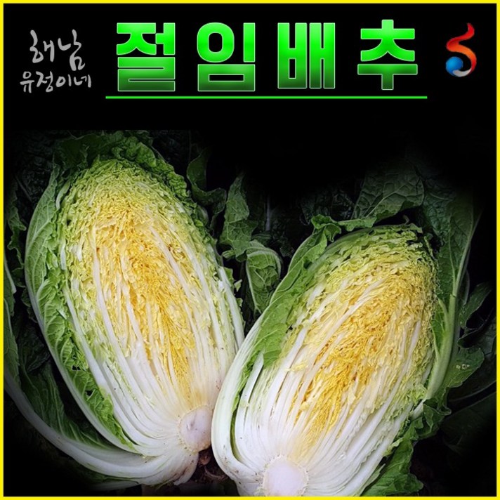 해남 유정이네 절임배추, 10kg, 발송예정일 발송2