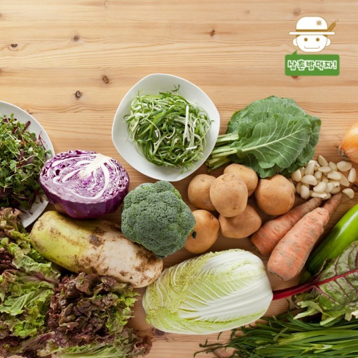 친환경 농산물 골라담기(양배추 적채 양상추 브로컬리 오이 고추), 양배추(반통)