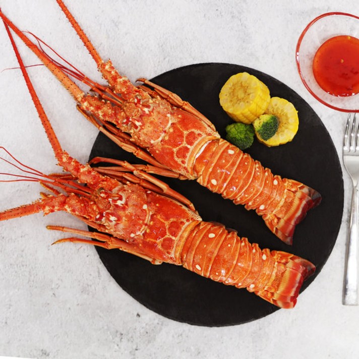 ccdsre정글에서 먹는 자숙 크레이피쉬 400~450g 1미 당일 발송, default