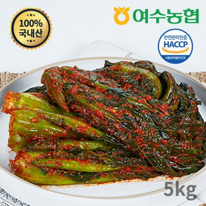 여수농협 여수돌산 갓김치 (국내산), 5kg, 1개