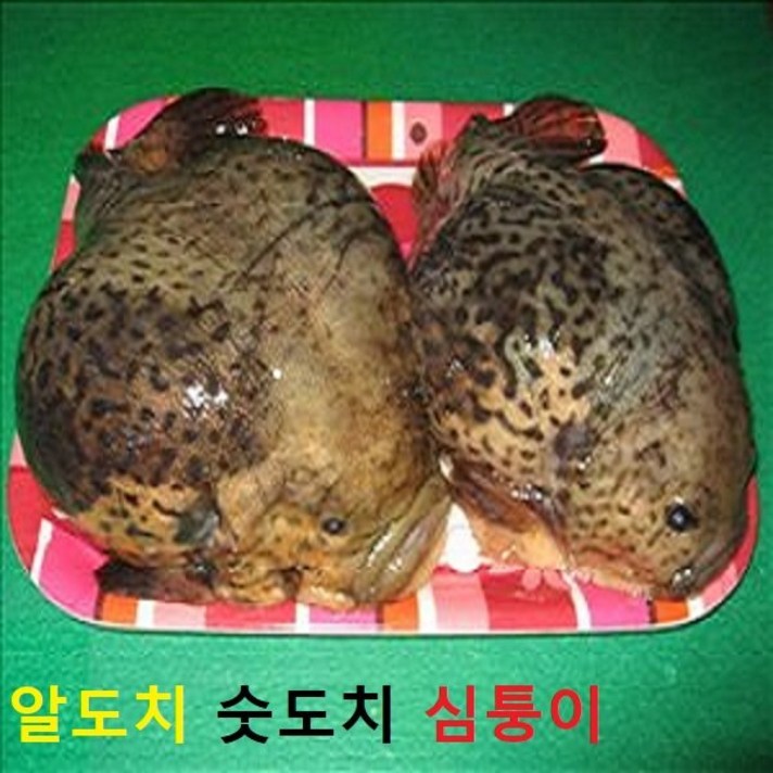 (쌍다리상회) 심퉁이 알도치 숫도치 (알도치1마리) 냉동, 알도치 1미 한상자 통마리 냉동