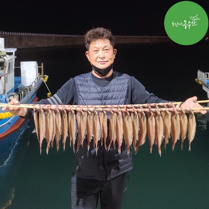 최고다농수산 강원도 속초 양미리 도루묵 기름가자미 물가자미 생물 반건조 구이 조림 튀김요리, 햇 반건조 참가자미 대 2미 (170~250g내외), 1개