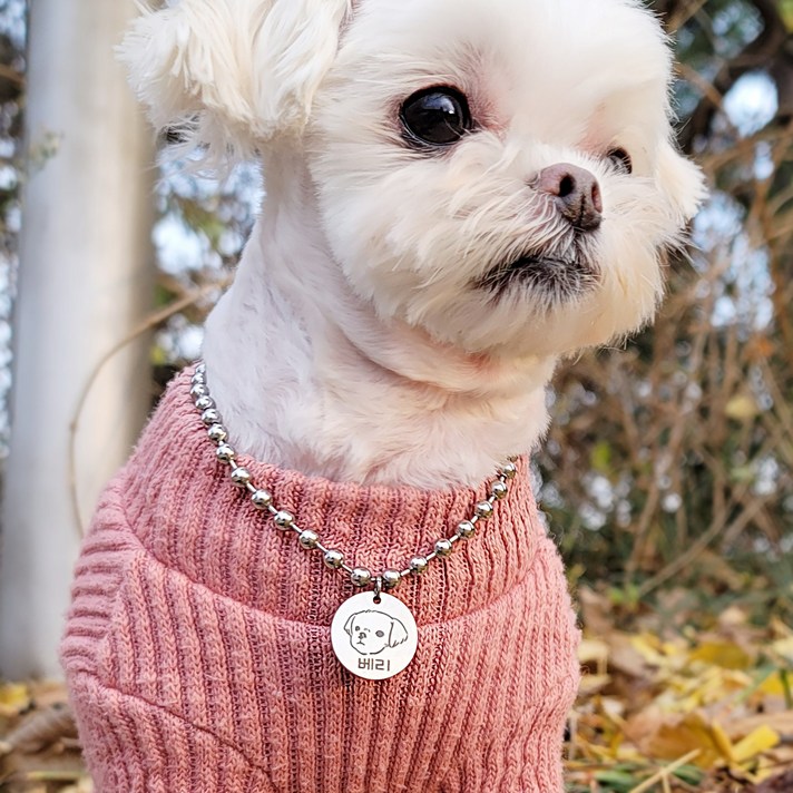 강아지 고양이 목걸이 이름표 얼굴 드로잉 등록번호 각인가능, 16