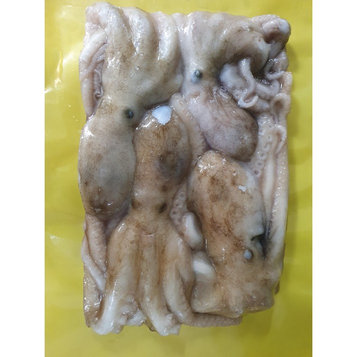 다원 급냉 활낙지 3미 4미 850g(낙지볶음용), 1팩, 850g