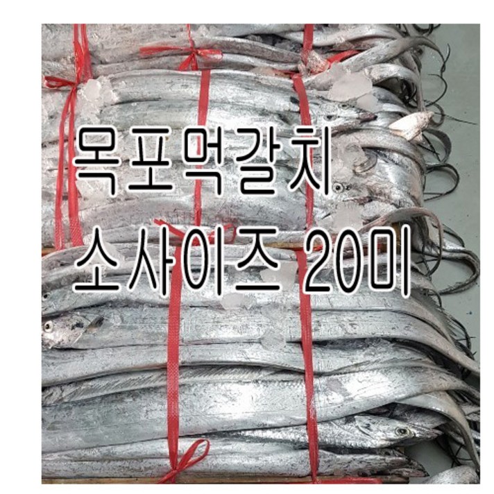 손질 목포먹갈치 소사이즈(풀치) 20마리